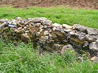 Jarnioux - Mur en pierres seches (4)